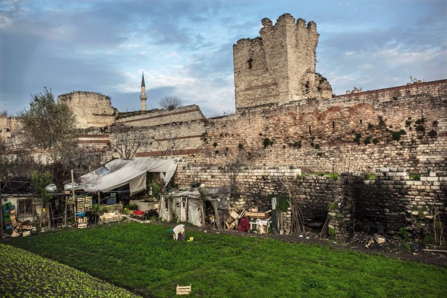 Aslıhan Demirtaş: İstanbul’un 1600 yıllık biricik kentsel tarım geleneği var-Yedikule Bostanları
