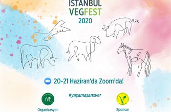 Uluslararası İstanbul VegFest 2020 Başlıyor