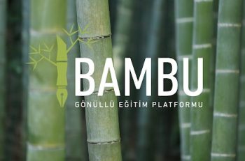 “The Bamboo Tree Is Our Inspiration”