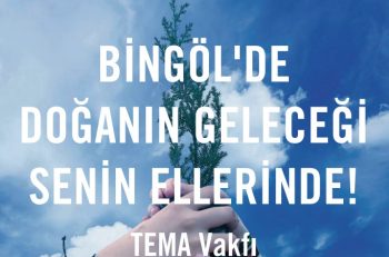 TEMA Vakfı Bingöl’de Gönüllü İl Temsilcisi Arıyor!