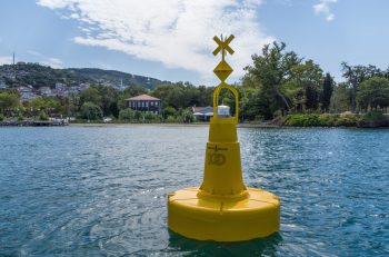 Güney Koreli heyet İstanbul Boğazı’nda deniz çayırlarını inceledi